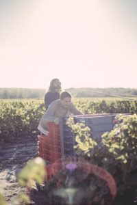 180926-RBassenne-VinNature-2418