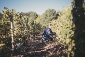 180926-RBassenne-VinNature-2461