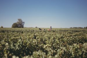 180926-RBassenne-VinNature-2975