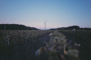 180926-RBassenne-VinNature-3323